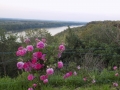 DSCN3883